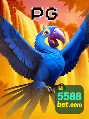 5588 BET bônus — cashback 15 por cento e níveis VIP
